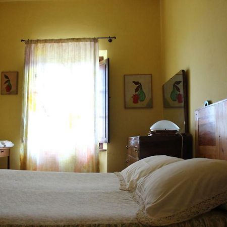 Bio Agriturismo Podere Pretoia San Gimignano Bagian luar foto
