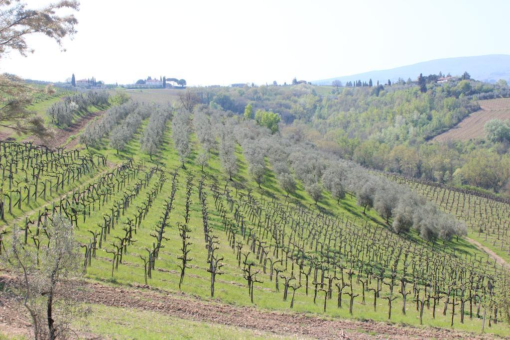 Bio Agriturismo Podere Pretoia San Gimignano Bagian luar foto