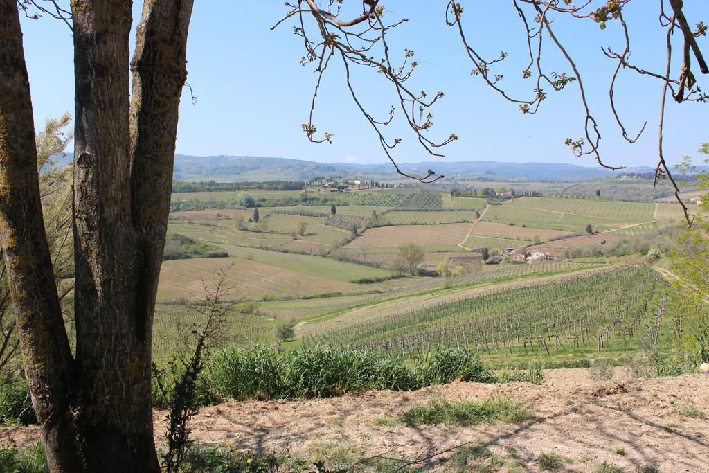 Bio Agriturismo Podere Pretoia San Gimignano Bagian luar foto