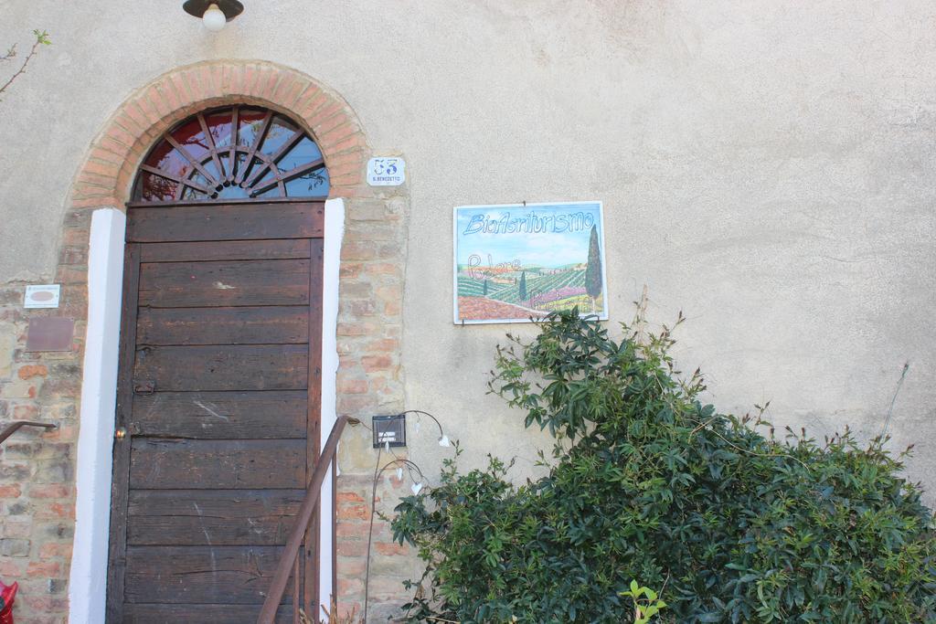 Bio Agriturismo Podere Pretoia San Gimignano Bagian luar foto